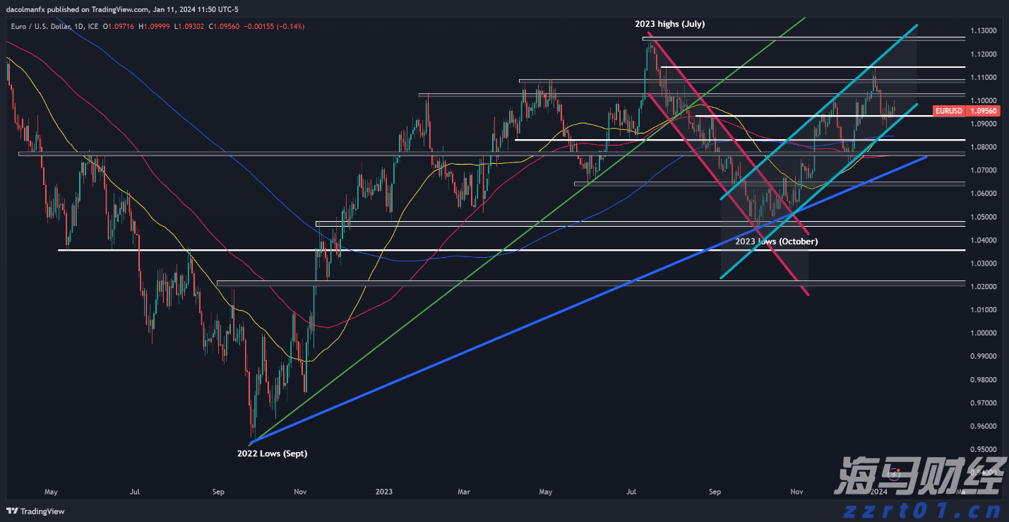 梅州海关供港澳活猪远程检疫监装模式正式启动