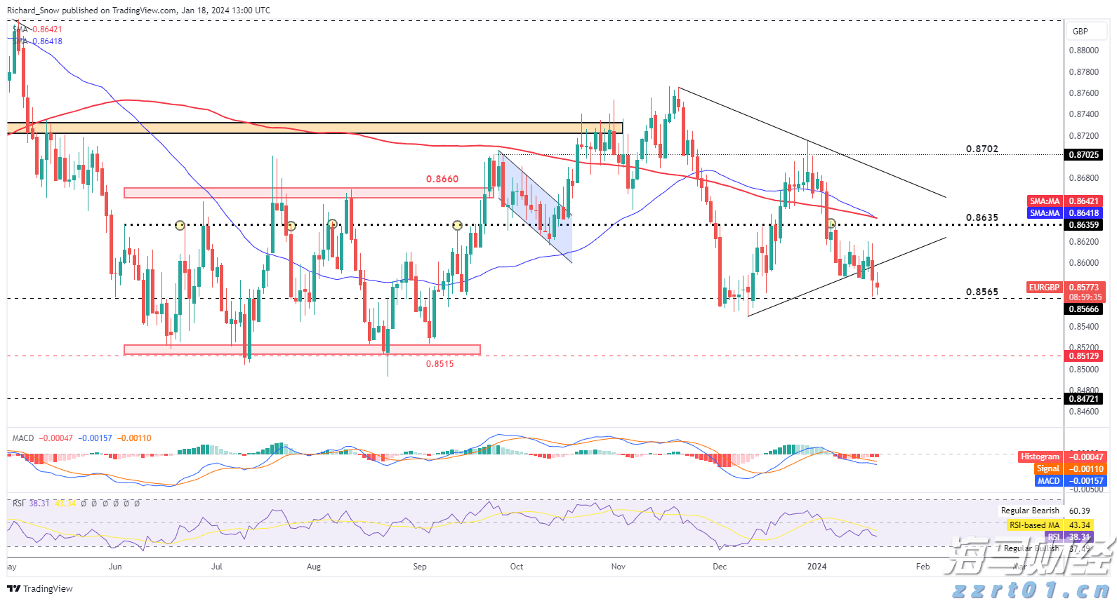 禁止进境!深圳湾海关查获濒危玳瑁制品26件