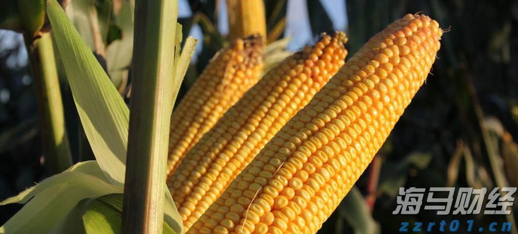 安徽探索以精准监管全面提升食品生产监管工作有效性