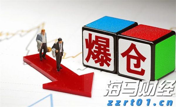 市领导到港北区开展乡村振兴调研等活动